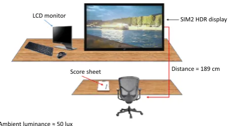 Fig. 4 Schematic diagram of the rating experiment setup