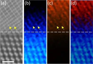 Figure 3. edge map showing the selective outdifussion of Ge across the reference interface plane (white dashed line)