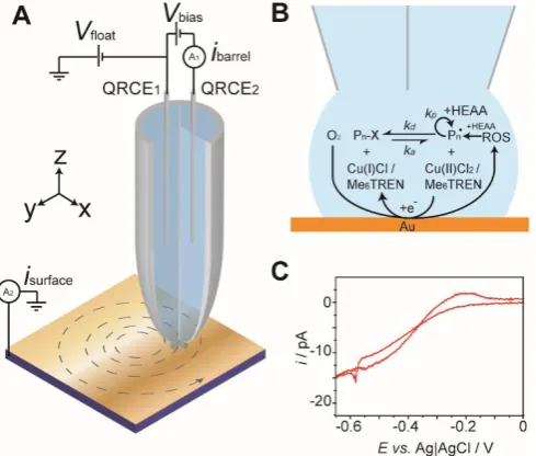 Fig. 2 (A) Typical SECCM responses during a 40 second deposition of poly(HEAA) including (i) probe height, (ii) surface current, (iii) barrel ion-conductance current and (iv) AC barrel current magnitude