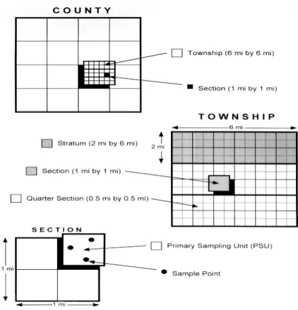 Figure 1 Graphical representation of NRI primary sampling unit and sample points NRI estimation involves weight construction, imputation of missing values, and adjustments to meet desired control totals