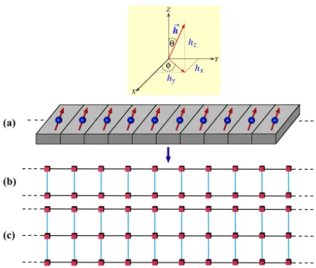 FIG. 1: (Color online) (a) Schematic diagram of a linear mag-netic chain grafted on a substrate (gray blocks)