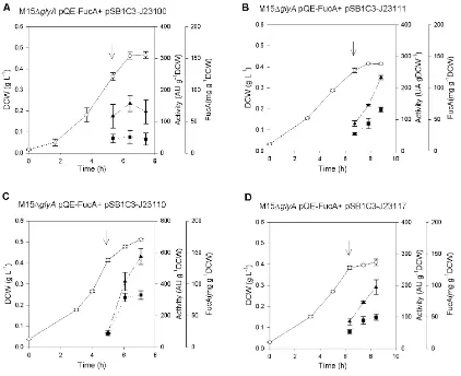 Fig. 
   9. 
   Shake 
   flask 
   cultures 
   of 
   M15ΔglyA 
   pQE-­‐FucA 
   pSB1XX 
   strains 
   series