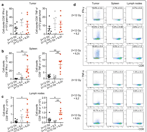 Fig. 3 hRT/IL-2c combination treatment dramatically enhances tumor-specific CD8+ T cells in secondary lymphatic organs in the C51 coloncarcinoma model