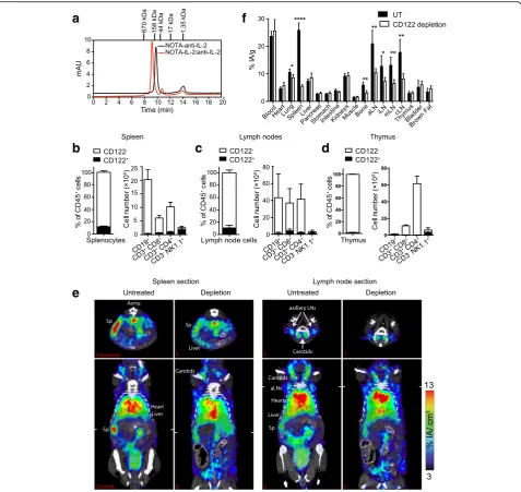 Fig. 4 Non-invasive visualization of IL-2c and of bound receptors by immunoPET/CT with 64Cu-NOTA-IL-2c in naïve mice