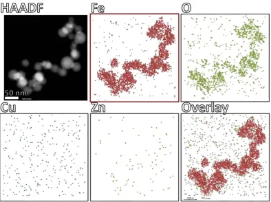 Figure 6. Identification of particles analyzed by EDX microanalysis. EDX mapping of Iron (Fe, red), Oxygen (O, green), Copper (Cu, blue) and Zinc (Zn, yellow) over the area identified by HAADF-STEM, and merge of Fe and Cu