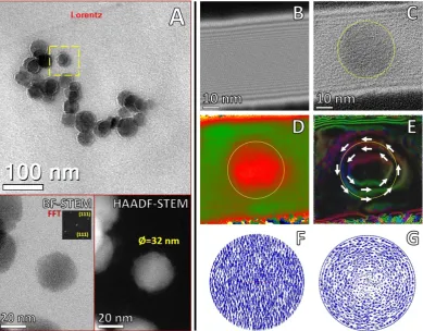 Figure 7. particles. (was indicated with a yellow circle. (contours around individual Fecalculations based on the dynamic magnetization by finite element method for spherical Feanalysis of the direction of magnetization, (direction, (Off-axis electron holo