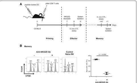Fig. 1 NKG2D blockade during effector phase resulted in the formation of non-cytolytic memory CD8 T cells