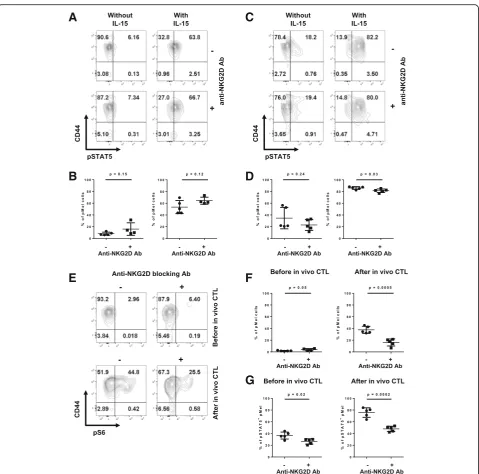 Fig. 5 Early responses to IL-15 was not affected by NKG2D blockade, while S6 phosphorylation was reduced