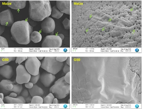 Fig. S1  SEM images of RMS and G50 observed at 2500× and 20000× magnifications. The green 