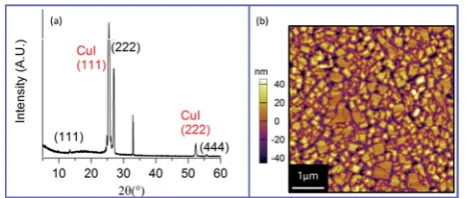 Fig. 1(a) XRD pattern and (b) AFM topography image of 50 nm ClAlPc/SiO2 grown at Tsub ¼ 155 �C