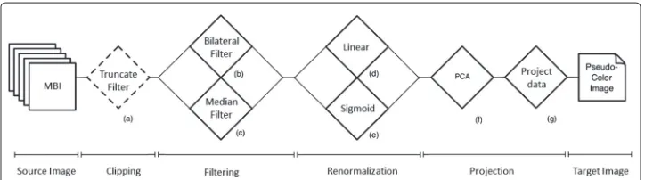 Fig. 1 Flowchart of the normalization pipeline. Workflow chart of the normalization pipeline for multiplexedbioimages (MBI)