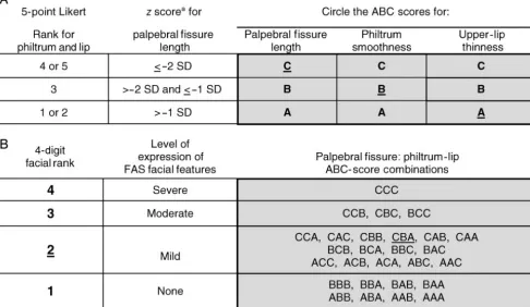 FIGURE 2The 4-Digit facial rank5 (rank of 1–4) is calculated by deriving the facial ABC-Score, which reﬂects the PFL, philtrum smoothness, and upper lip thinness (A), and converting the facial