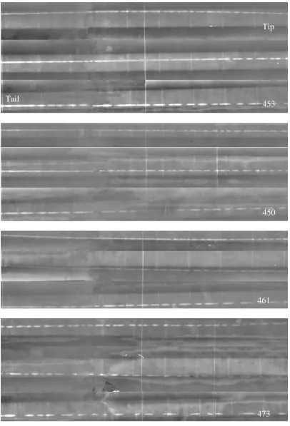 Figure 8.  Triple flash radiographs of the four liners, fine to coarse, top to bottom.