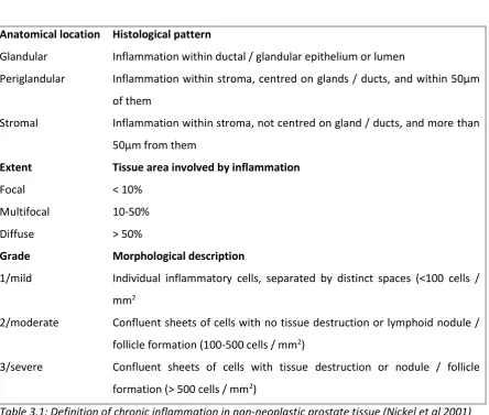 Figure 3.13: Grade 3 stromal inflammation in benign prostate tissue (H&E, 20x). 