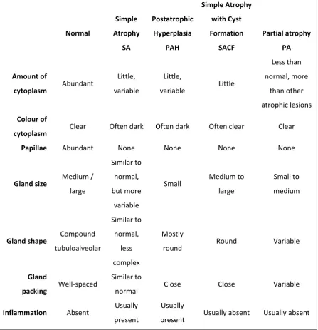 Table 3.2: Inflammatory / Atrophic Lesions Definition (De Marzo et al 2006, Davidsson et al 2011) 