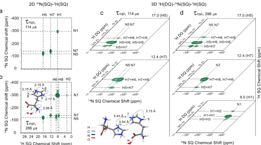 Figure 3. (a, b) 2Drecoupling for a 14N(SQ)-1H(SQ) spectra and (c, d) 2D 14N(SQ)-1H(DQ) planes extracted from 3D 1H(DQ)-14N(SQ)-1H(SQ) spectra of L-histidine·HCl·H2O