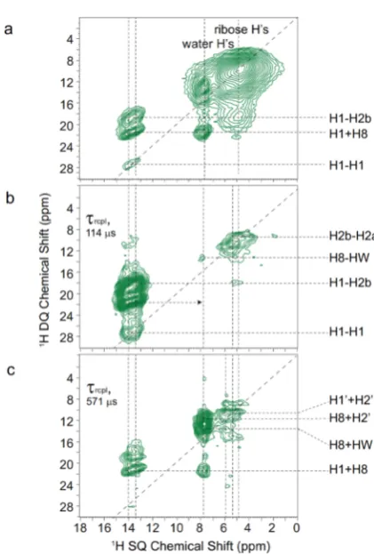 Figure 5. τ20using a (b) short ( τr) recoupling time. The base contour levels are at (a) 4%, (b) 13%,O: (aτrcpl = 114 μs = 6from Experimental 1H NMR spectra recorded at 600 MHz using70 kHz MAS are presented for G.2H2−c) 1H DQ-SQ correlationspectra (recorded using 8 τr of BaBa-xy16 recoupling), (a) repeated Figure 4b, for (b and c) a 14N1H HMQC ﬁlter was employedr) and a (c) long (τrcpl = 571 μs =and (c) 22% of the maximum peak intensity.