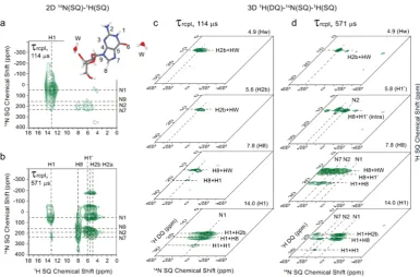 Figure 6. (a, b) 2Drecoupling for apresented for G 14N(SQ)-1H(SQ) spectra and (c, d) 2D 14N(SQ)-1H(DQ) planes extracted from 3D 1H(DQ)-14N(SQ)-1H(SQ) spectra are·2H2O