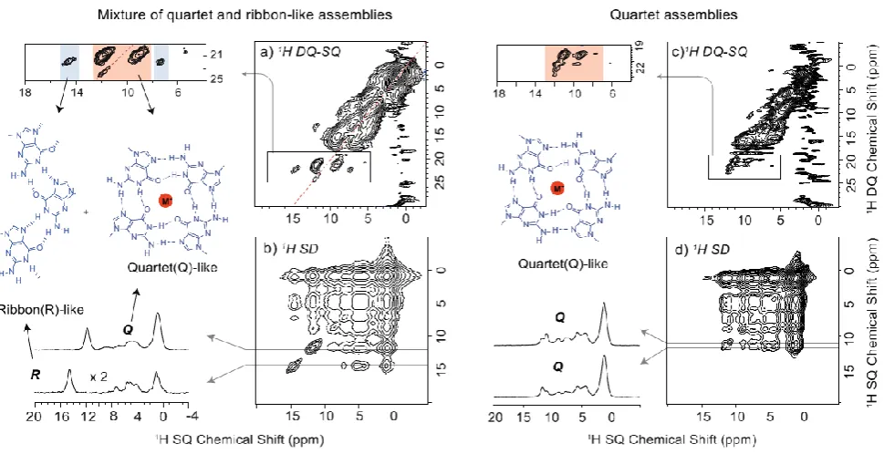 Figure 4. Two-dimensional solid-state 1H (850 MHz, 75 kHz MAS) NMR spectra of a GaceC10KPic 8:1 complex (left) and a GaceC10SrPic)2 8:1 complex (right)