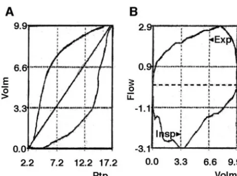 TABLE 1Pulmonary Mechanics Measurements