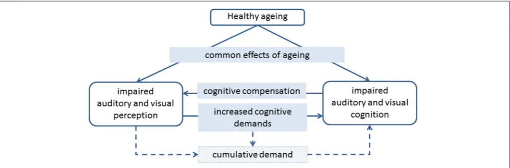 FIGURE 1 | Diagram of the potential links between healthy ageing, auditory and visual perception, and auditory and visual cognition.