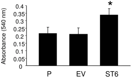 Figure 5, Haptotactic migration toward collagen Iand ST6 cells were serum starved for 48 hours.AA, Haptotactic migration toward collagen I