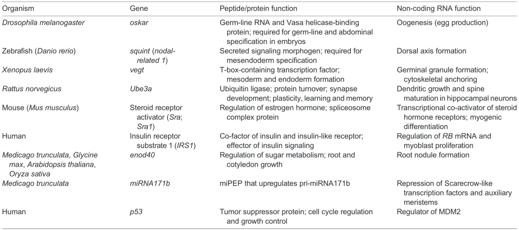 Table 1. Coding and non-coding roles of known cncRNAs