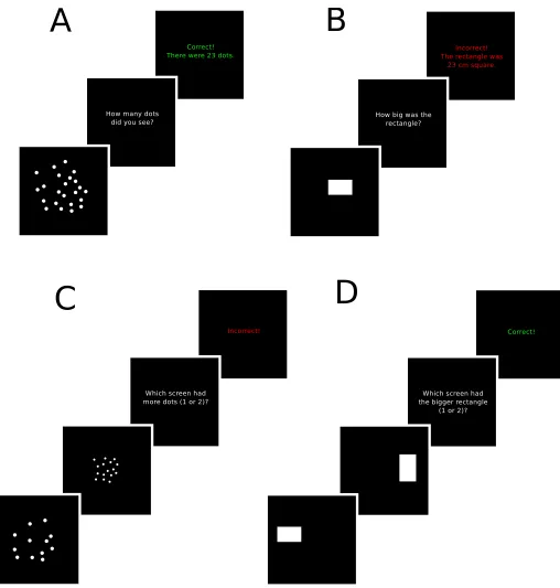 Fig 1. Illustrations of the tasks used in the experiments. A) Estimation trials for dots