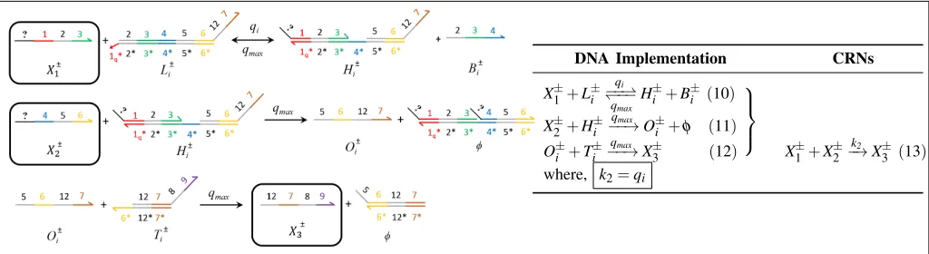 Fig. 5: Catalysis reaction XCRN using signal species1and±1 → X±2 +X±3 . The DNA implementation with reaction index i corresponding to the unimolecular X±1 , X±2 and X±3 highlighted in black boxes