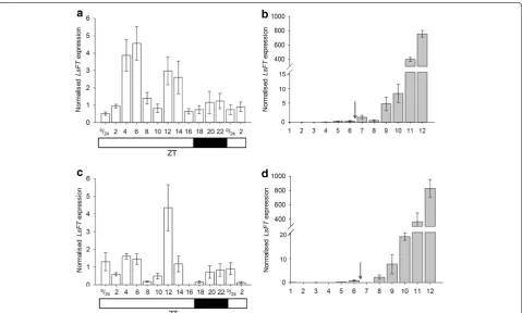 Fig. 4 Normalised expression levels of LsFT. a LsFT expression levels normalised using the three most stable reference genes, LsPP2A-1, LsPP2AA3 and LsTIP41, over the diurnal time-course