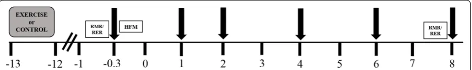 Fig. 1 Schematic of study protocol. Participants either exercised (EX-30, EX-60) or remained sedentary (CON) the evening before (~12 h) the mealtolerance test