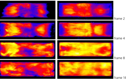 Figure 3 Conversion of gray values to pseudo RGB-color. Top: characteristic curves, bottom: 