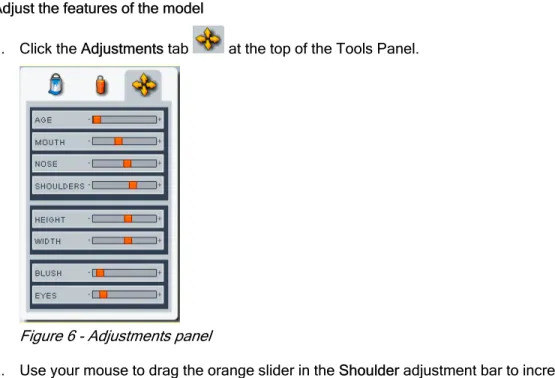 Figure 6 - Adjustments panel 