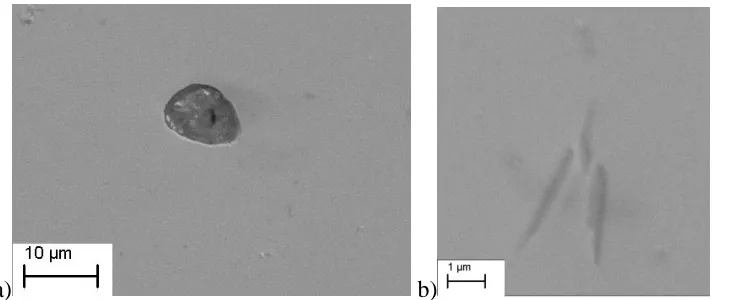 Figure 9: Micrographs of the cast CSLM samples. a) TiC-alumina inclusion found in a sample cooled with Profile 4 (50-50), and b) TiC precipitate found in a sample cooled with Profile 1 (1-1)