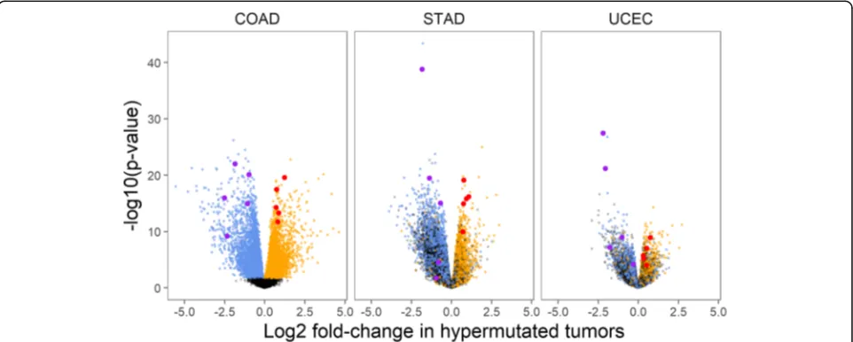 Fig. 2 Gene expression signature of hypermutation status in TCGA dataset. Volcano plots show genesadenocarcinoma (COAD), stomach adenocarcinoma (STAD), and uterine corpus endometrial carcinoma (UCEC)