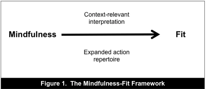 Figure 1.  The Mindfulness-Fit Framework 