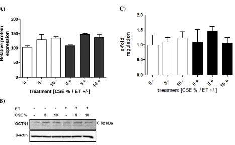 Figure 1.8: A,B) Western blot analysis of OCTN1 in NCI-H441 cells exposed to various conditions of CSE and ET C) Relative gene expression profile of OCTN1 in NCI-H441 cells exposed to various conditions of CSE and ET