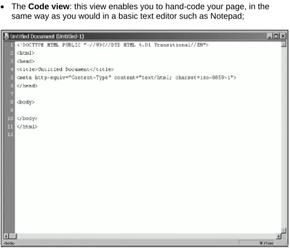 Figure 2 - the document window in code view 