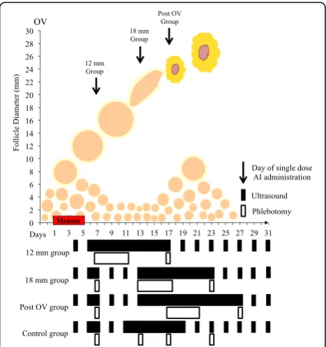 Fig. 1 Schematic diagram of the study protocol