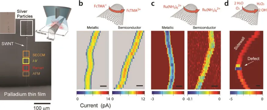 Figure 5. (a) Platform based on individual flow-aligned SWNTs for the correlation of electrochemical activity and structure/properties