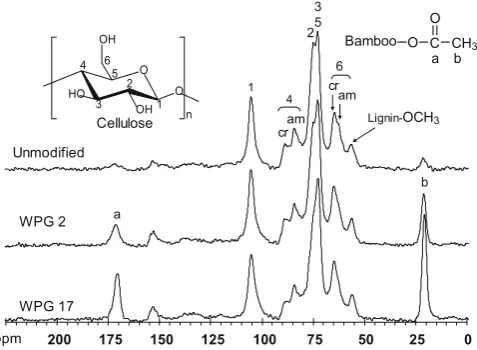 Fig. 2. X-ray diffraction diagrams of different extent of acetylated bamboo particles: unmodiﬁ ed (A); WPG 2 (B); WPG 4 (C); WPG 17 (D)