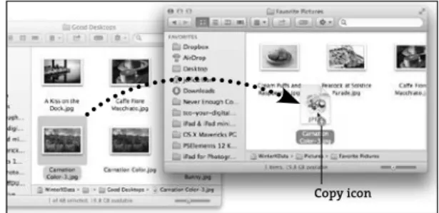 Figure 4.3 The Share menu