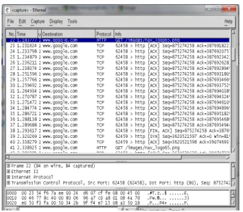 Fig. 5. IE BHO for Password Sniffing: Step1 – the command