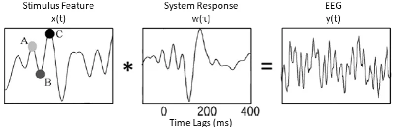 Figure 3.1: TRF Estimation 