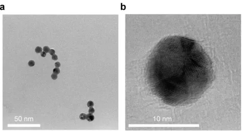 Figure 5 (a) Low-magnification TEM image of gold nanoparticles capped by citrate and (b) 