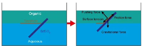 Figure S1 Schematic of the scooping of graphene from the polymer-free transfer method