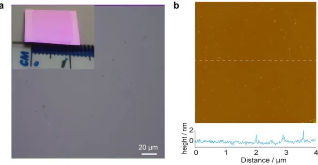 Figure S2 (a) Optical microscope and (b) AFM images of transferred graphene on Si/SiO2 using 