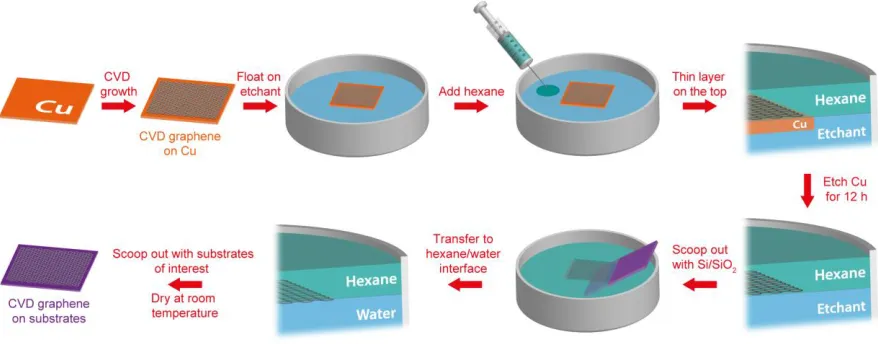 Figure 1 Schematic of the polymer-free biphasic method for CVD graphene transfer. 