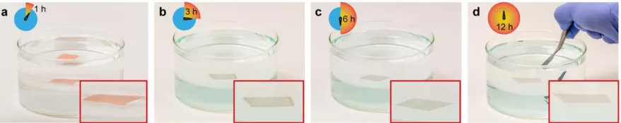 Figure 2 (a)-(c) Optical images of an as-grown graphene/copper sample floating at the 