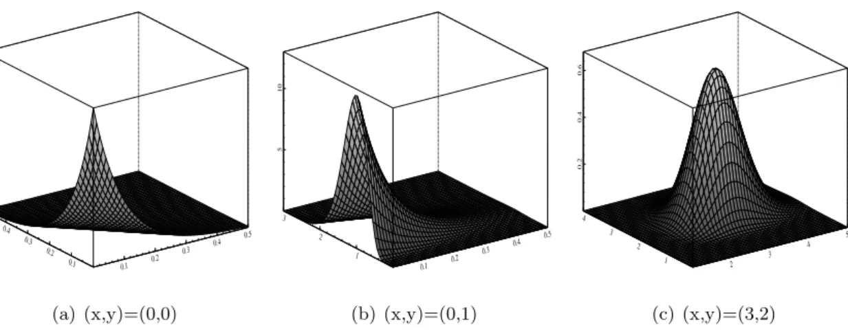 Figure 3: Shape of gamma kernels at (x, y). The bandwidth parameters b 1 = b 2 = 0.2.